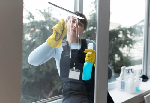 Nettoyage de vitres intérieures et extérieures à Saint-Denis-la-Chevasse